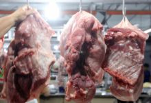 Photo of Agricultural output rises 1.9% in Q1