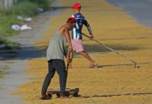 Photo of ADB urges PHL to boost investments in agri, energy