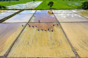 Photo of How Asia can revolutionize its food systems — before it’s too late