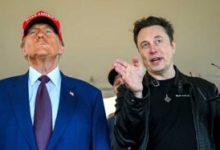 Photo of Tesla launches CEO search as Elon Musk pledges return amid stock plunge and political fallout