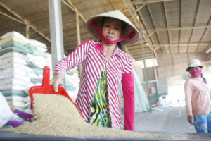 Photo of Agricultural trade deficit widens to $889.15 million