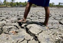 Photo of Actions vs climate change backed