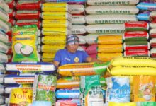 Photo of Romualdez pledges funding for P20-per-kilo rice program in 2026