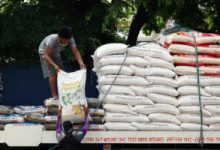 Photo of Rice prices retreat in mid-April